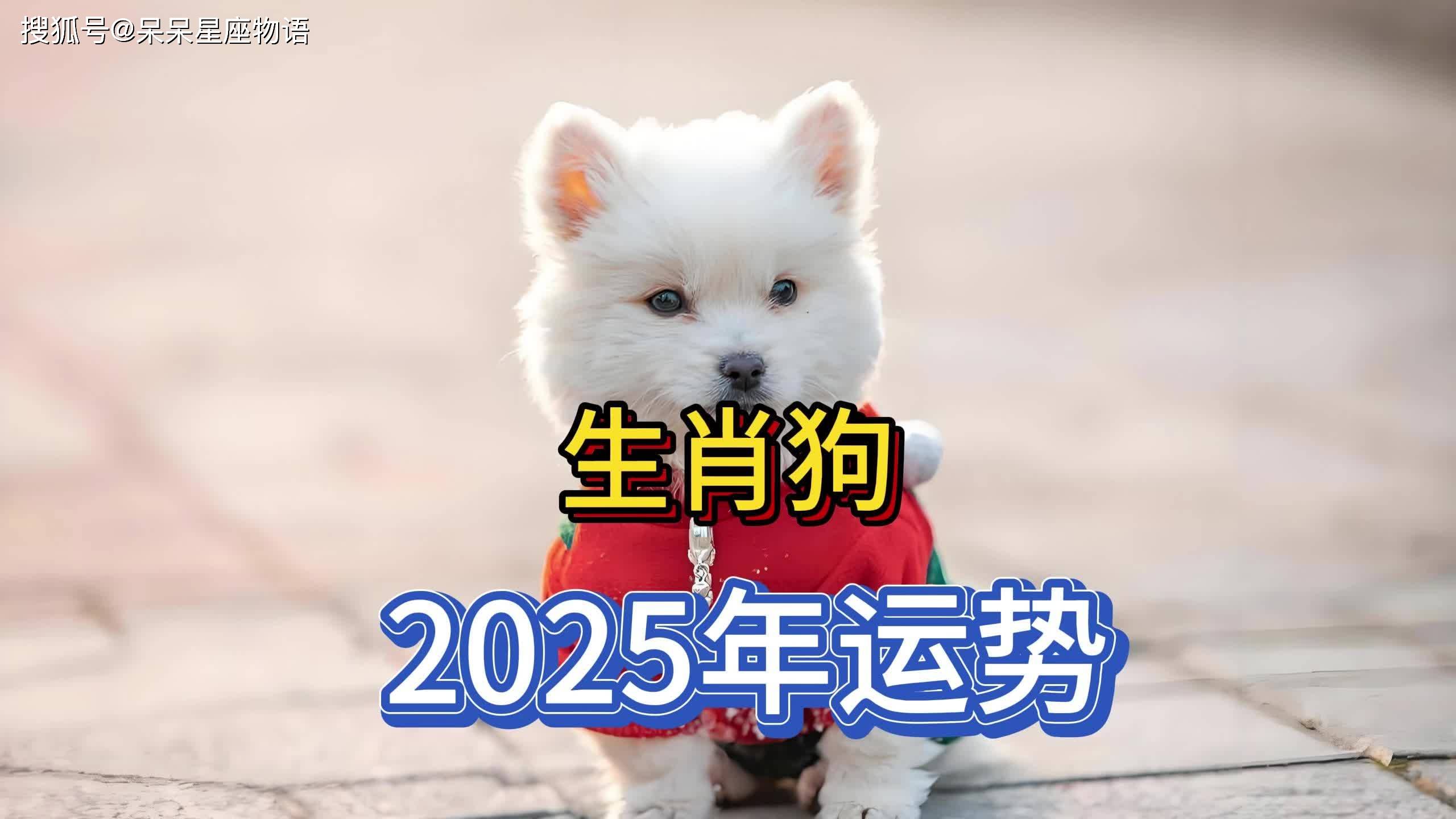 新闻中心 第38页