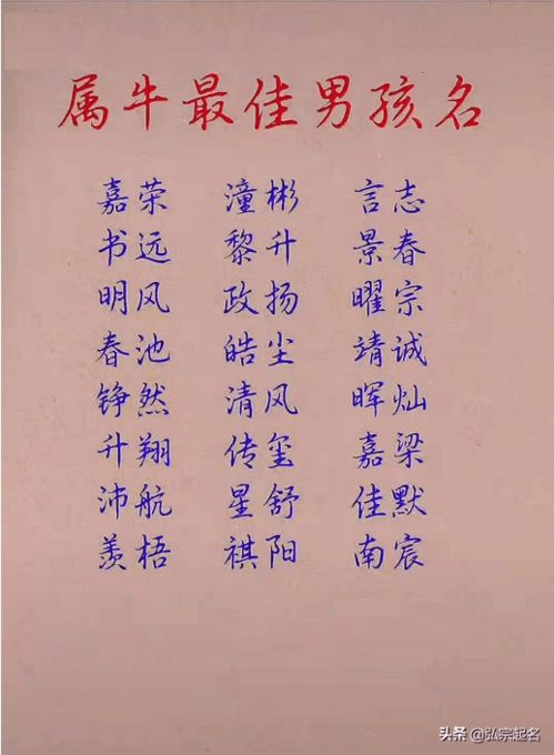 科普展现:名字含义（艺可女孩名字含义）