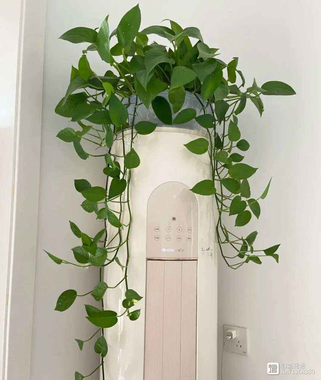 客户服务 第37页