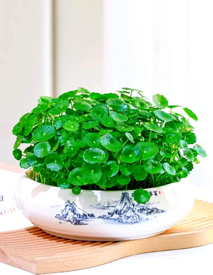 店铺招财风水禁忌