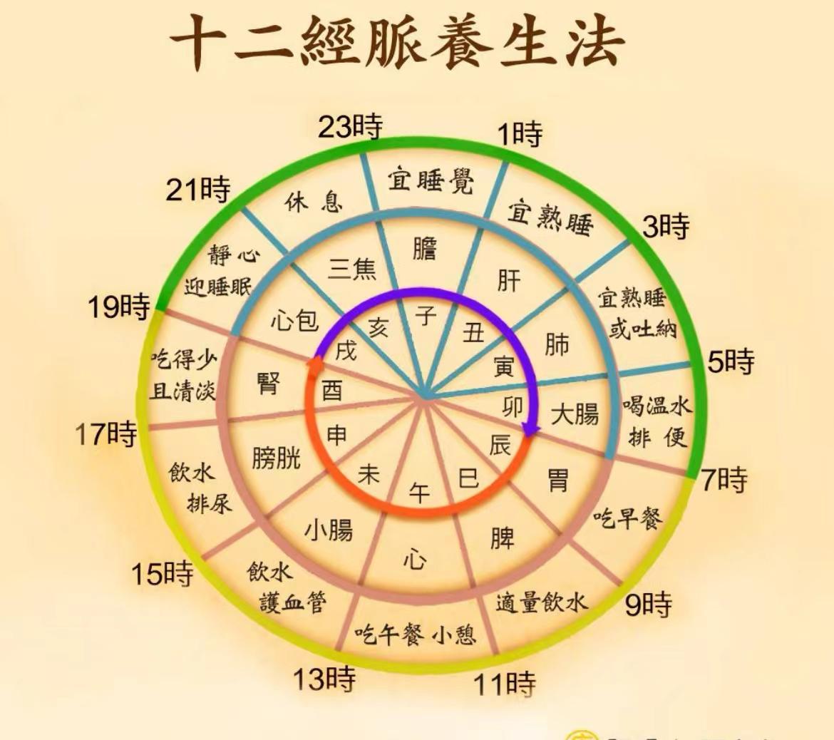 经络运行时间表