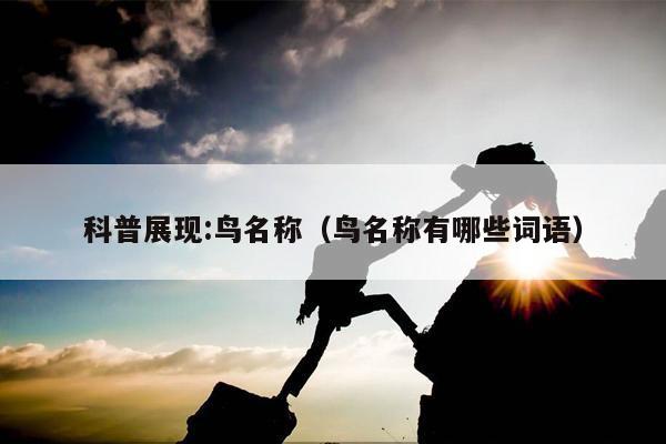 2025年4月 第29页