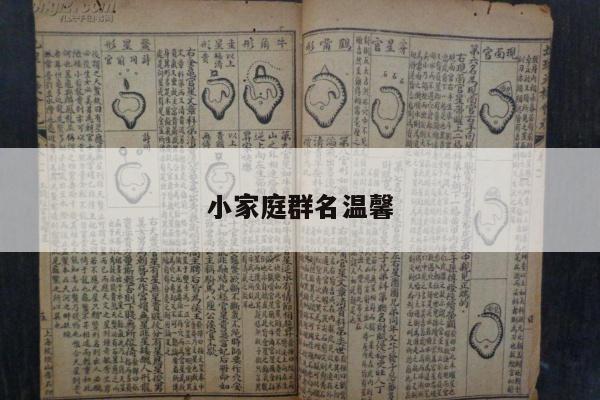 小家庭群名温馨