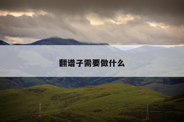 翻谱子需要做什么