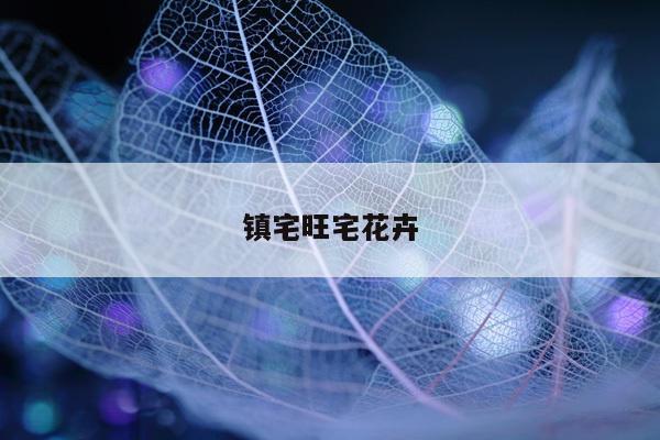 镇宅旺宅花卉