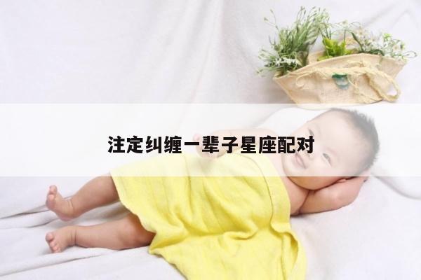 注定纠缠一辈子星座配对