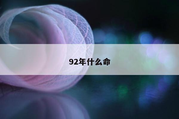 92年什么命