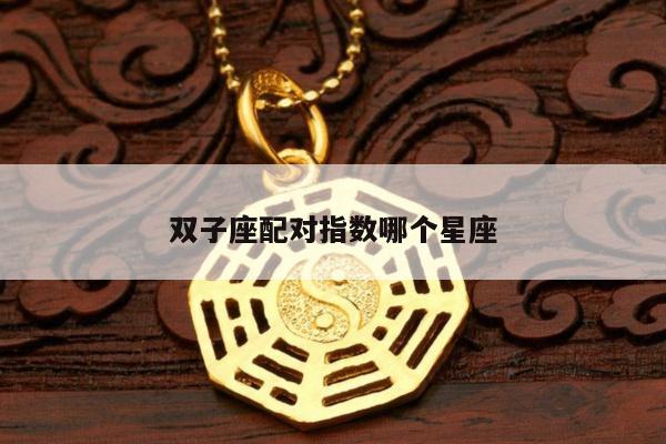 双子座配对指数哪个星座