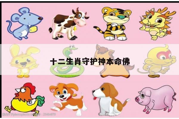 十二生肖守护神本命佛