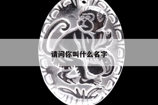 请问你叫什么名字
