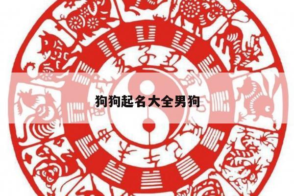 狗狗起名大全男狗