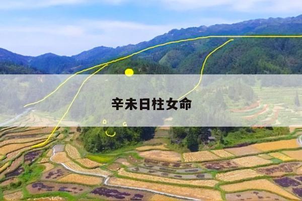 辛未日柱女命