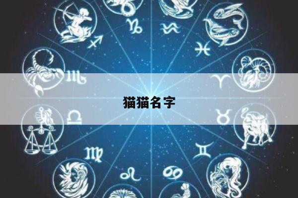 猫猫名字