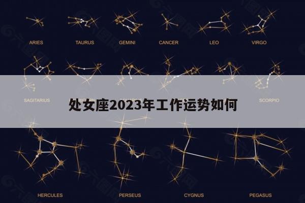 处女座2023年工作运势如何