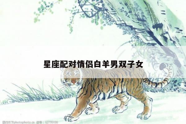 星座配对情侣白羊男双子女