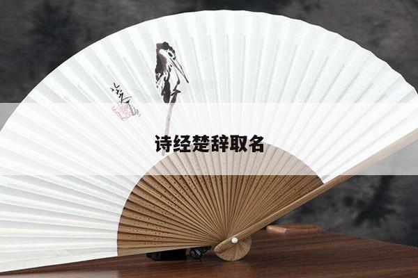 诗经楚辞取名