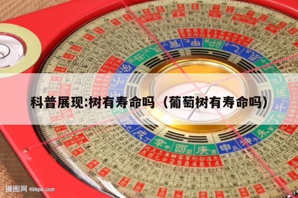科普展现:树有寿命吗（葡萄树有寿命吗）