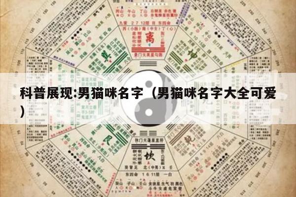 科普展现:男猫咪名字（男猫咪名字大全可爱）