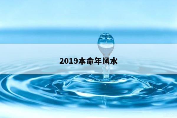 2019本命年风水