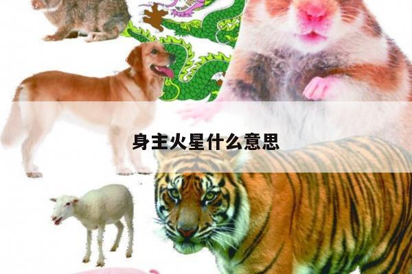 身主火星什么意思