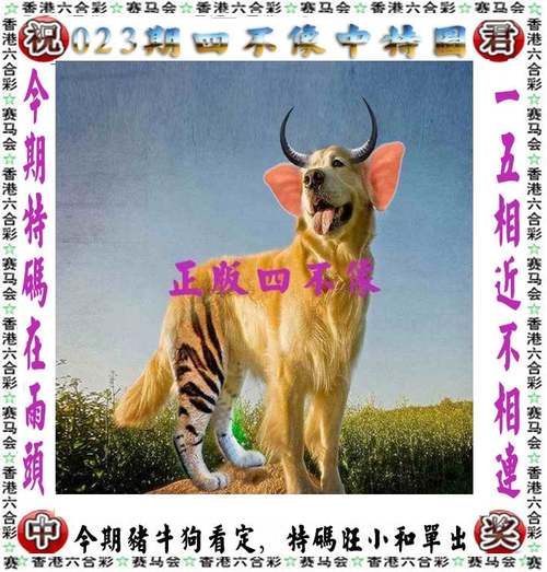 新澳资料网站,新澳资料网站2025年