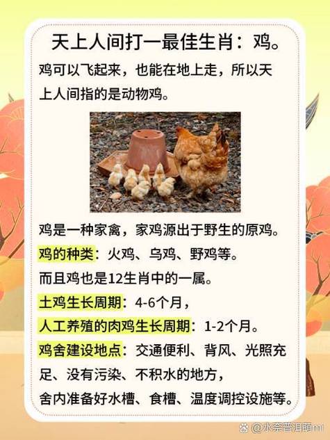 天上人间精准一生肖,天上人间最准确生肖