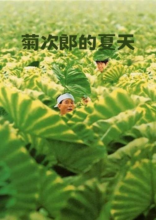 菊次郎的夏天讲的是什么故事,菊次郎的夏天讲的是什么故事表达什么