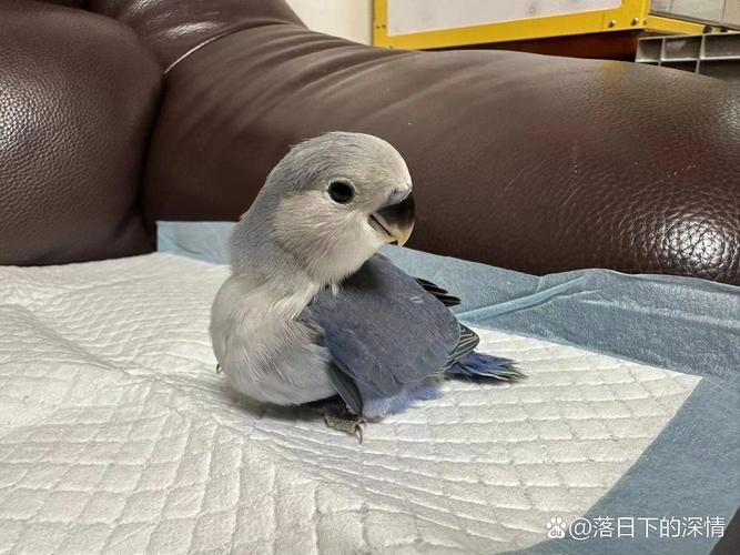 新闻中心 第6页