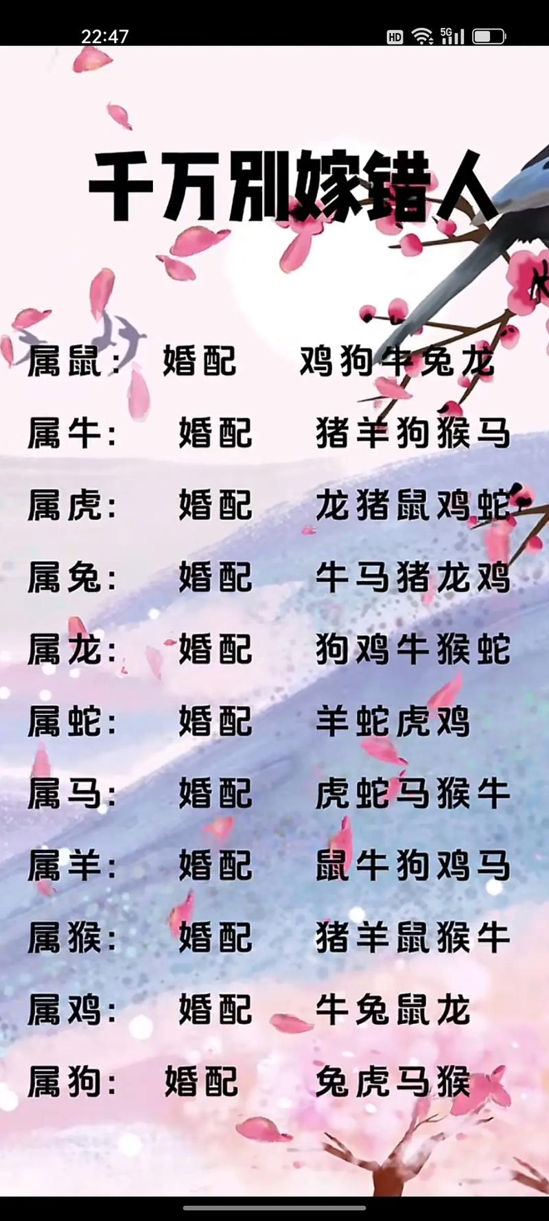 香港指的是哪个生肖,香港指的是哪个生肖的动物