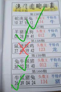 12不中资料澳门,12不中资料澳门第28期