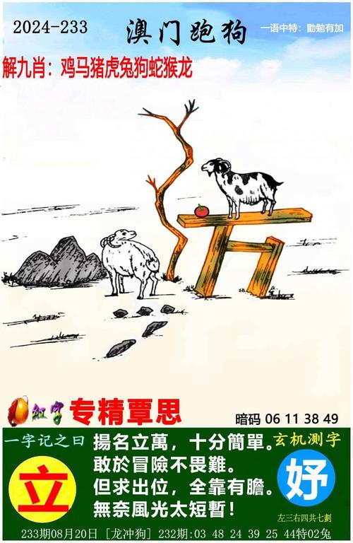 抓码王资料大全抓码王,抓码王资料大全抓码王聊