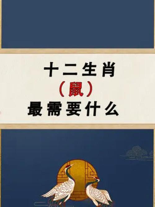 今晚出准确生肖全新精准,今晚一定出准确生肖