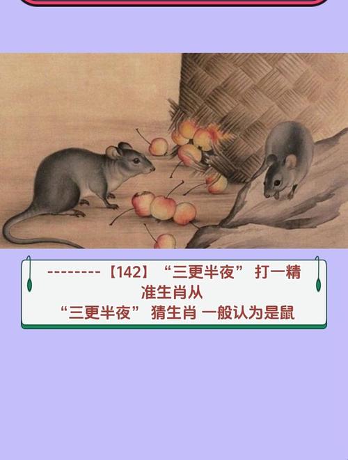 柴护是指什么生肖,柴护指什么生肖正确答案
