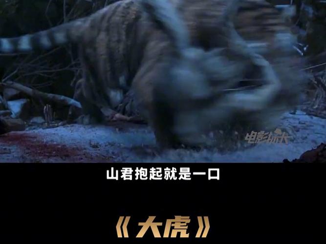 大虎电影韩国,大虎电影韩国免费观看